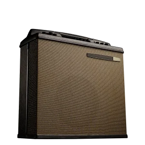 MAGN 10M 1966